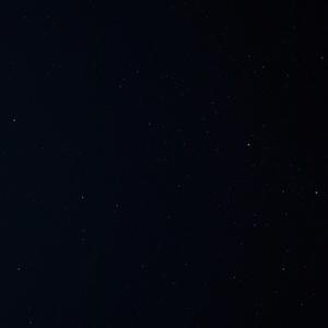 老头树林嫖妓BBw搡BBBB搡
